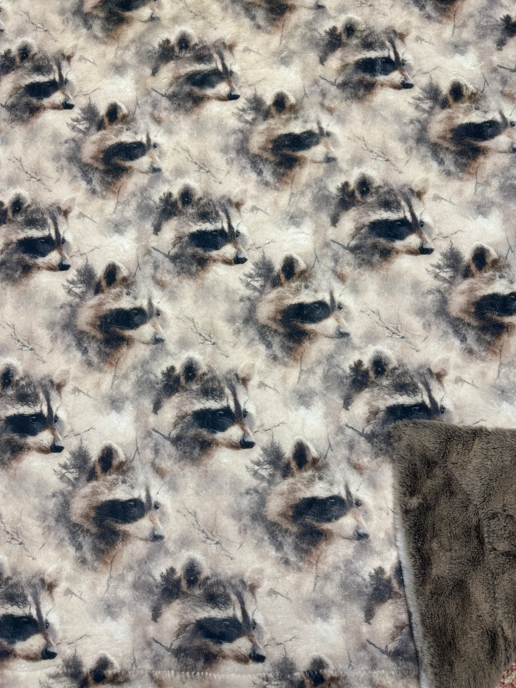 Throw shadow raccoon on seal/ mocha cypress