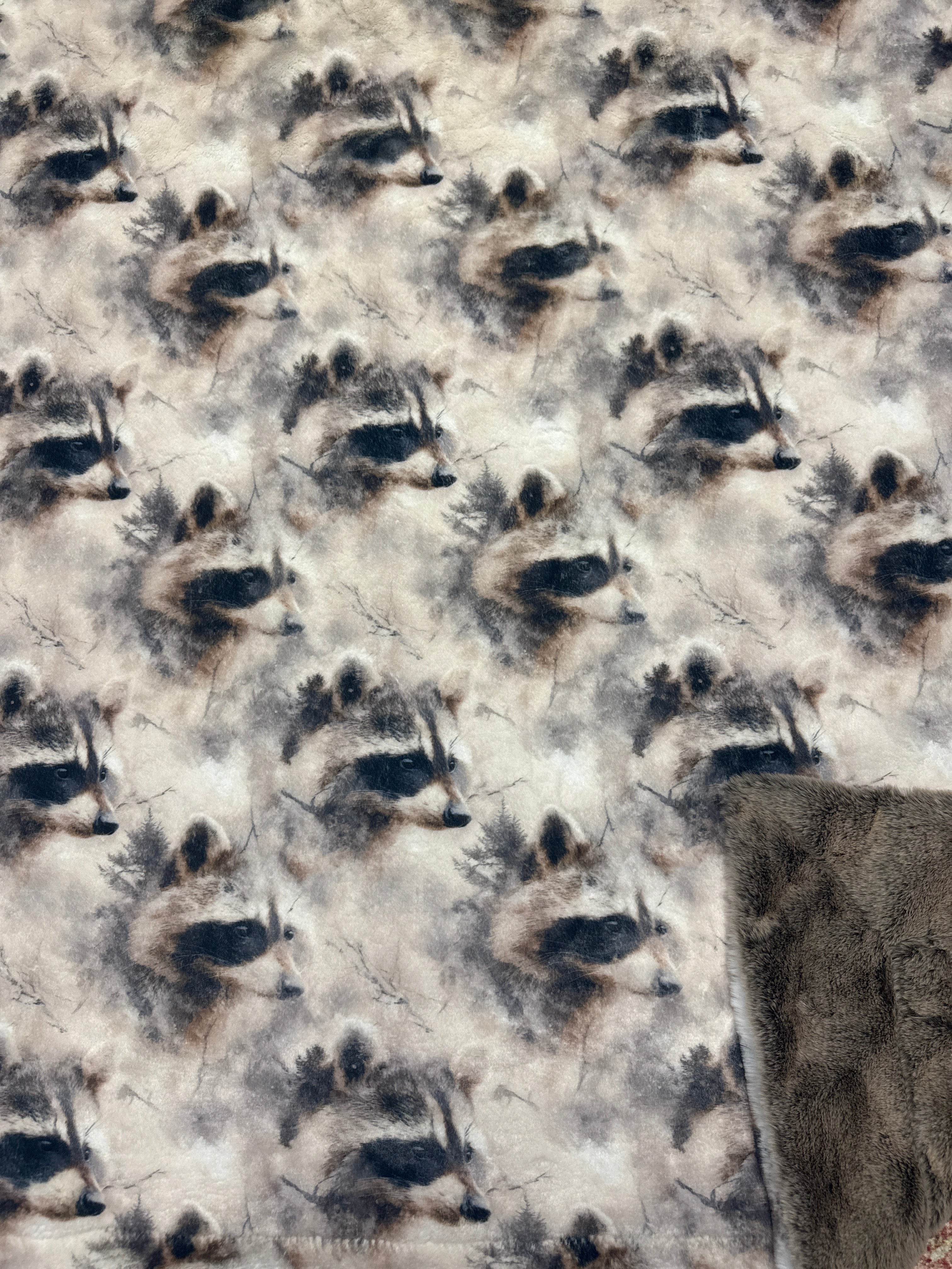 Throw shadow raccoon on seal/ mocha cypress