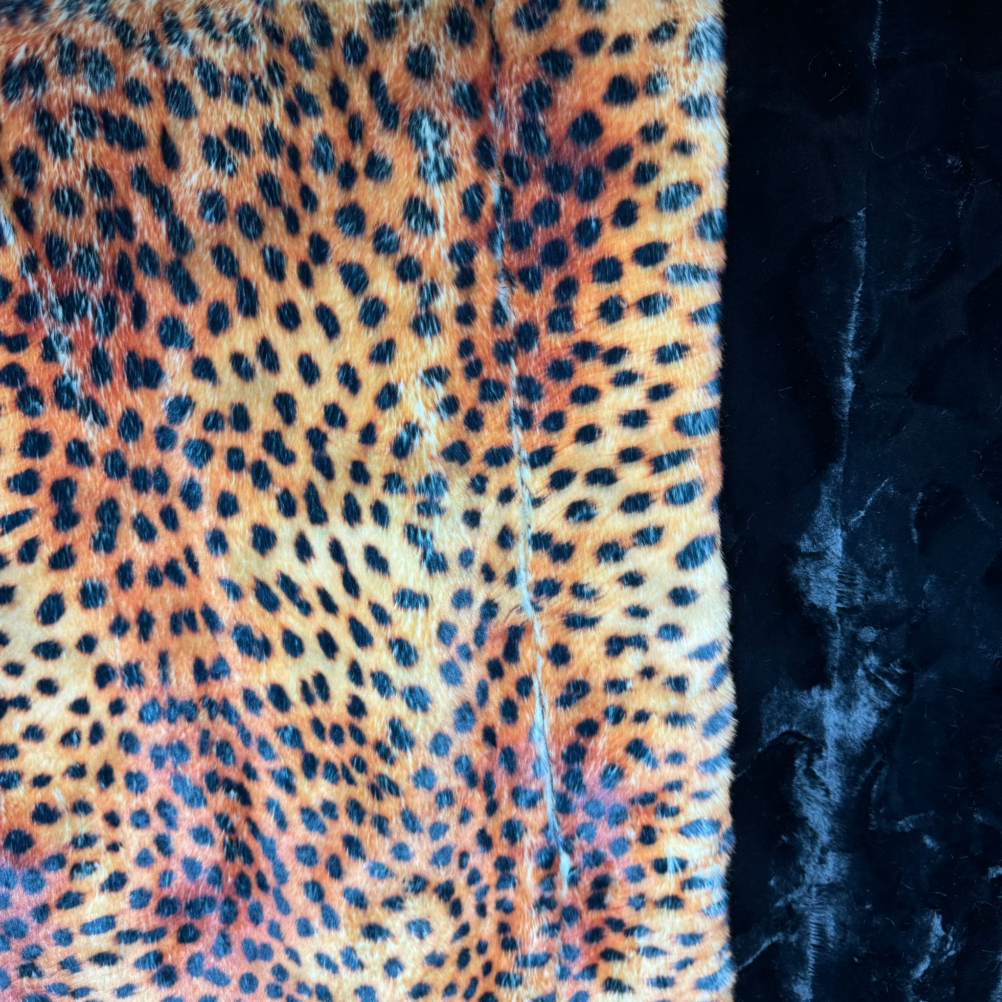 Printed Leopard on Siberian / Black Hide