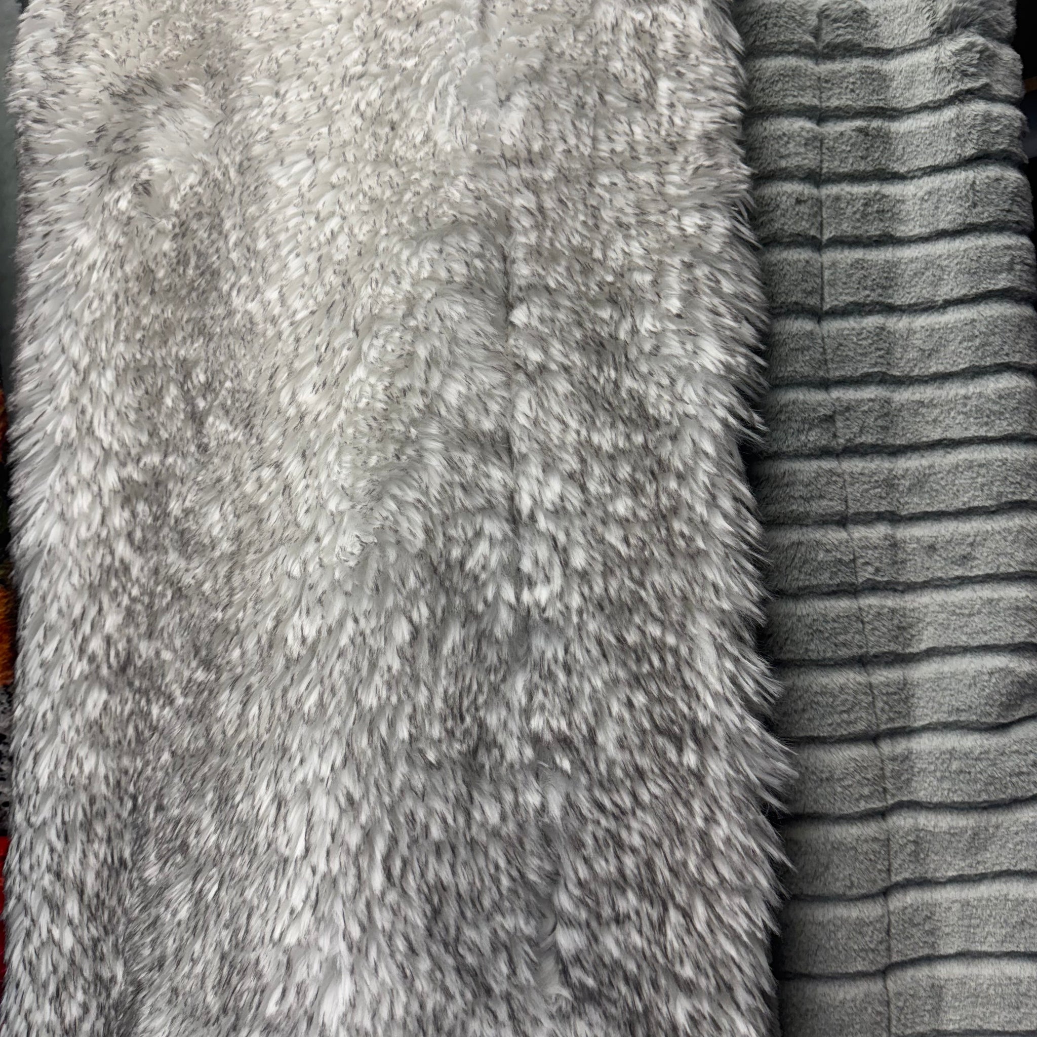 Silver quill/ Joey